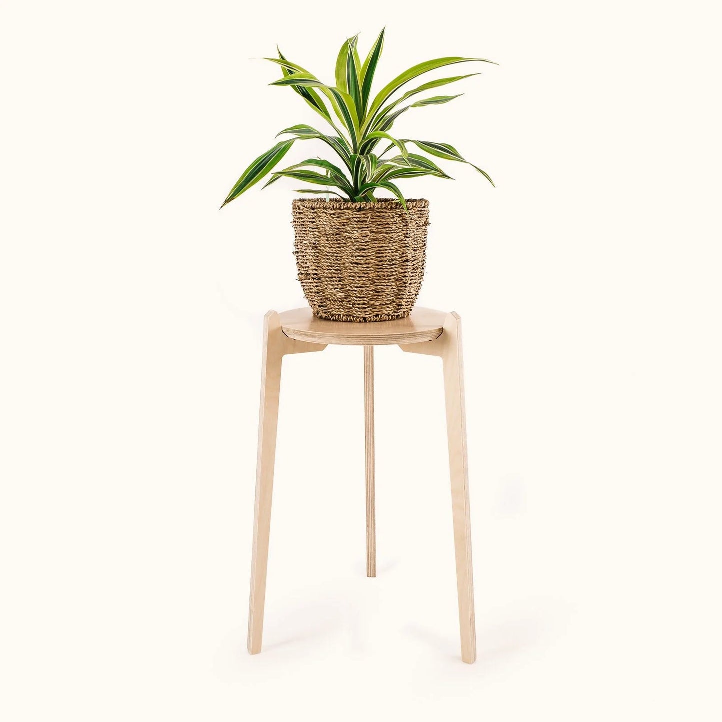 Japandi 11" Plant Stand 4" / Satin Birch
