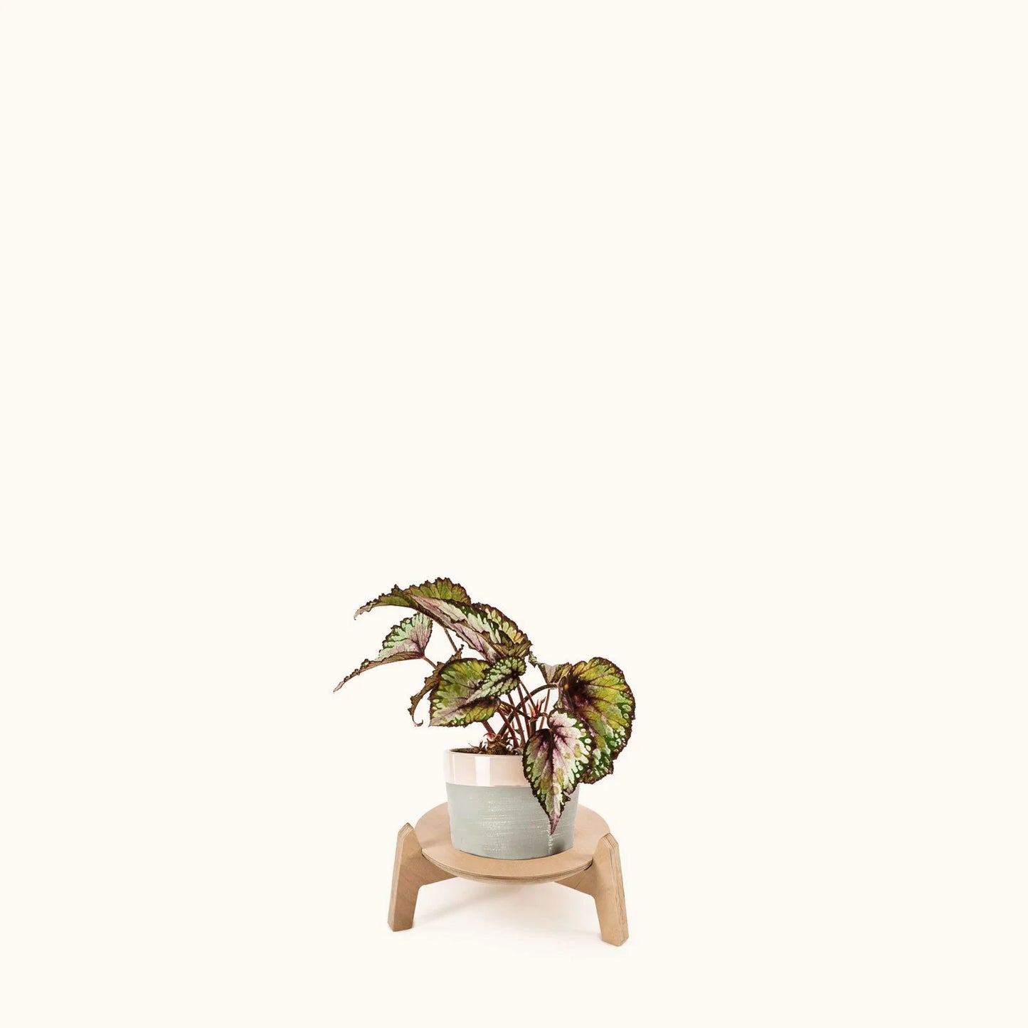 Japandi 8.5" Plant Stand 4" / Satin Birch