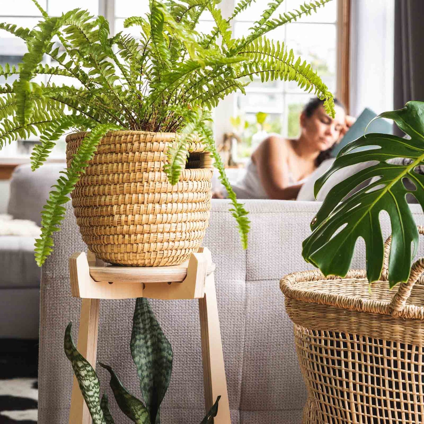 Japandi Tiered Plant Stand