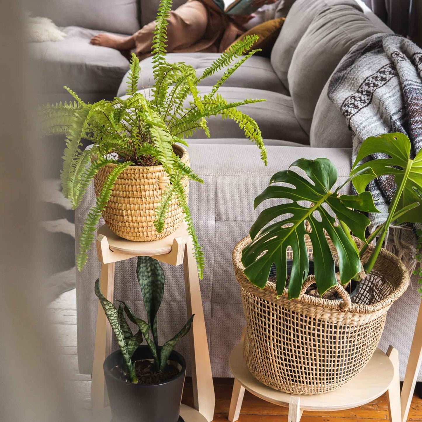 Japandi Tiered Plant Stand