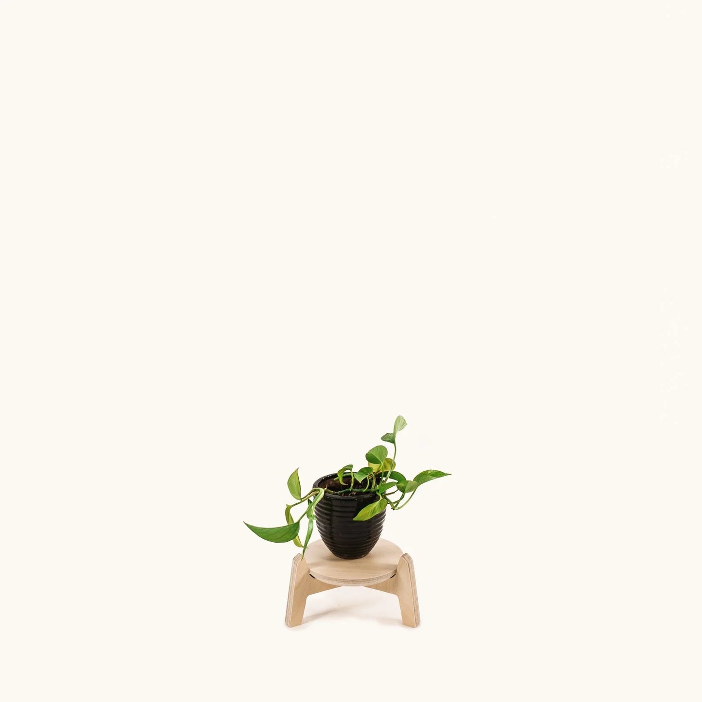 Japandi 6.5" Plant Stand 4" / Satin Birch