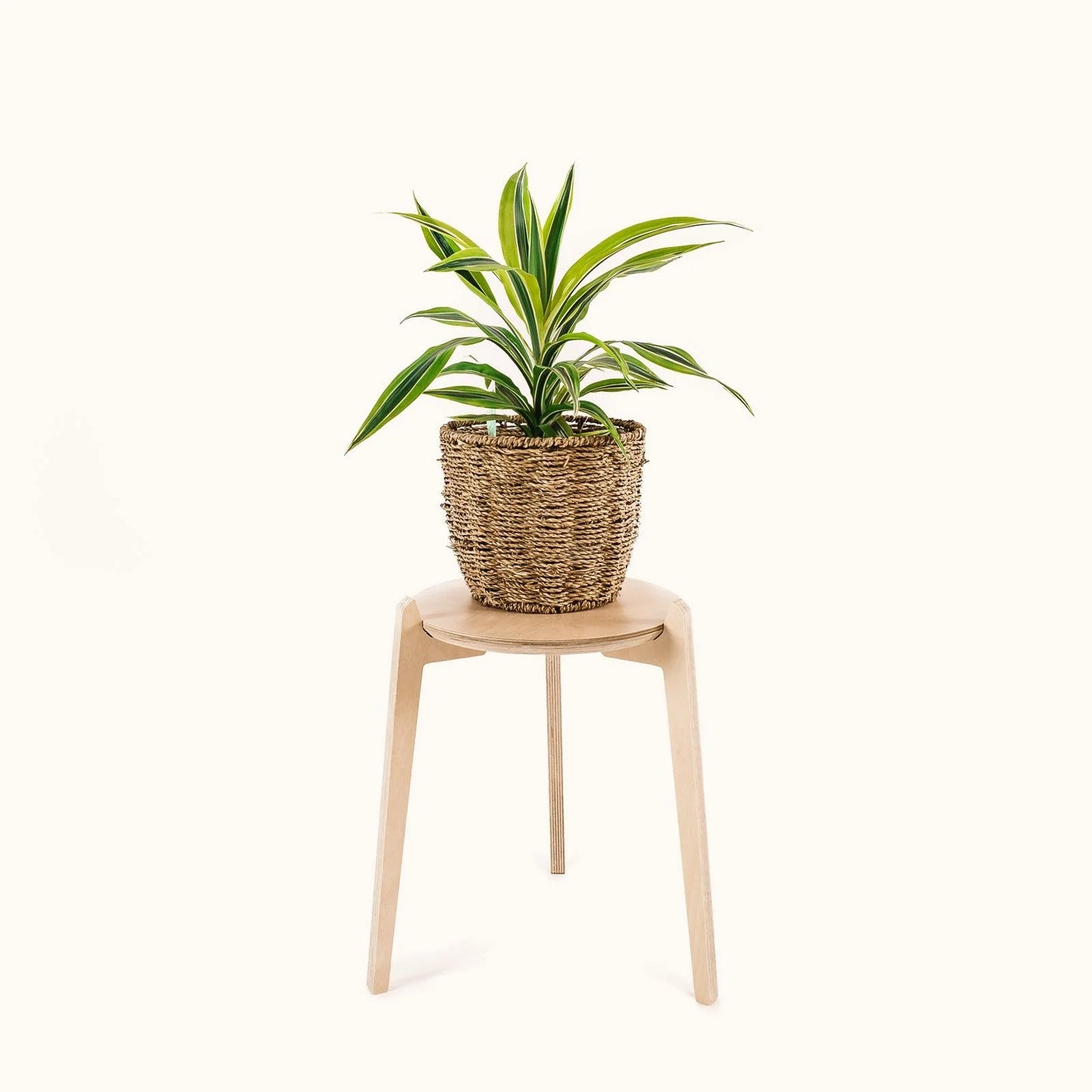 Japandi 11" Plant Stand 4" / Satin Birch