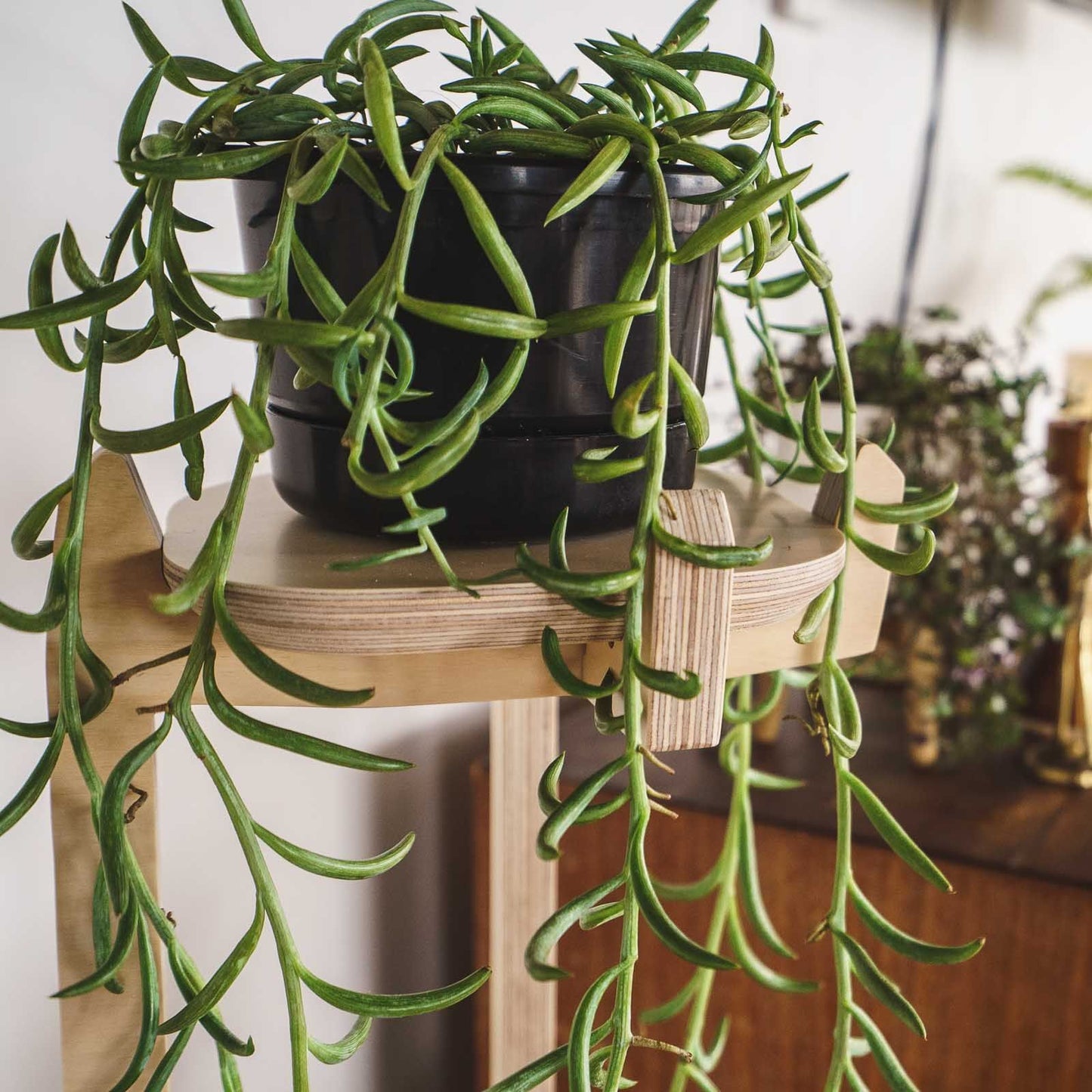 Japandi Corner Plant Stand