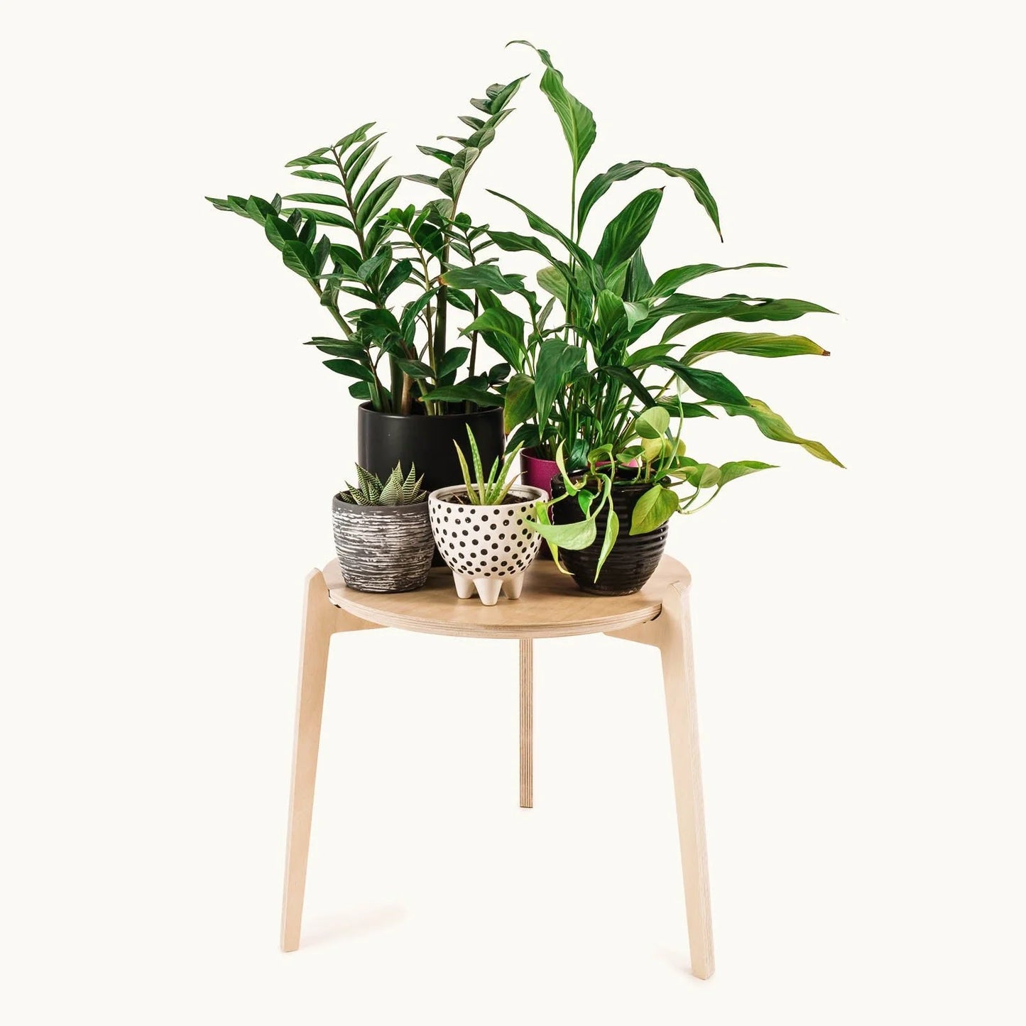 Japandi 15.5" Plant Stand 4" / Satin Birch