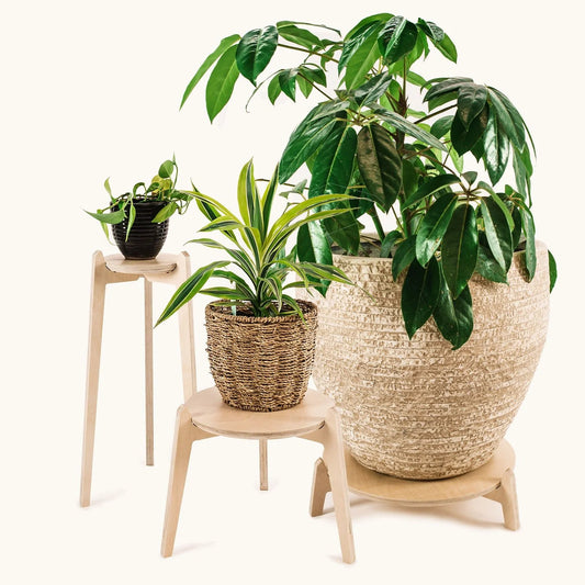 Japandi Plant Stand 3 pack