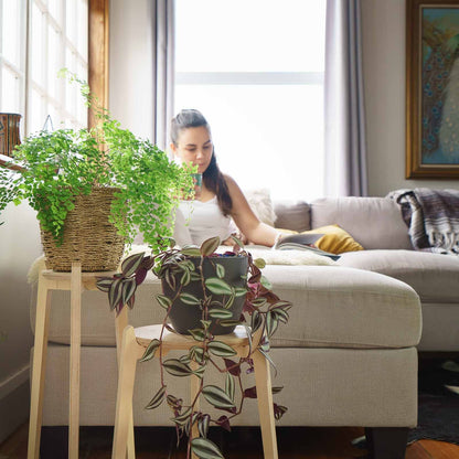 Japandi 8.5" Plant Stand 4" / Satin Birch