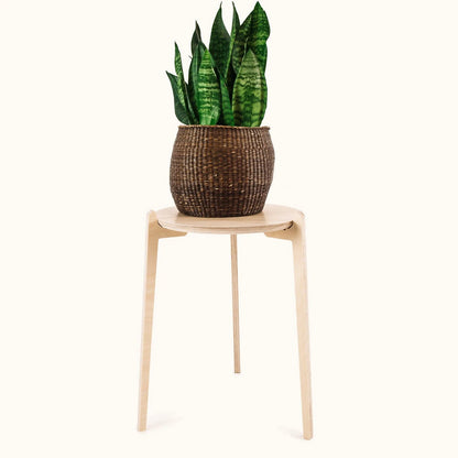 Japandi 14" Plant Stand 4" / Satin Birch