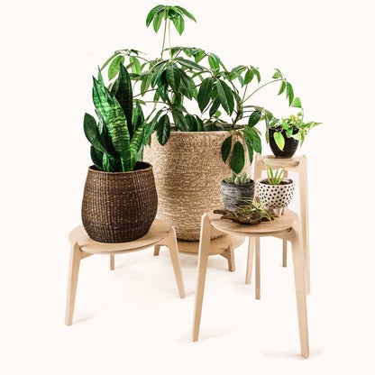Japandi 15.5" Plant Stand 4" / Satin Birch