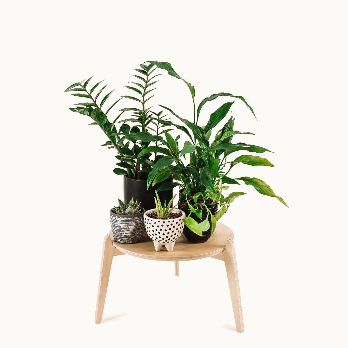 Japandi 15.5" Plant Stand 4" / Satin Birch