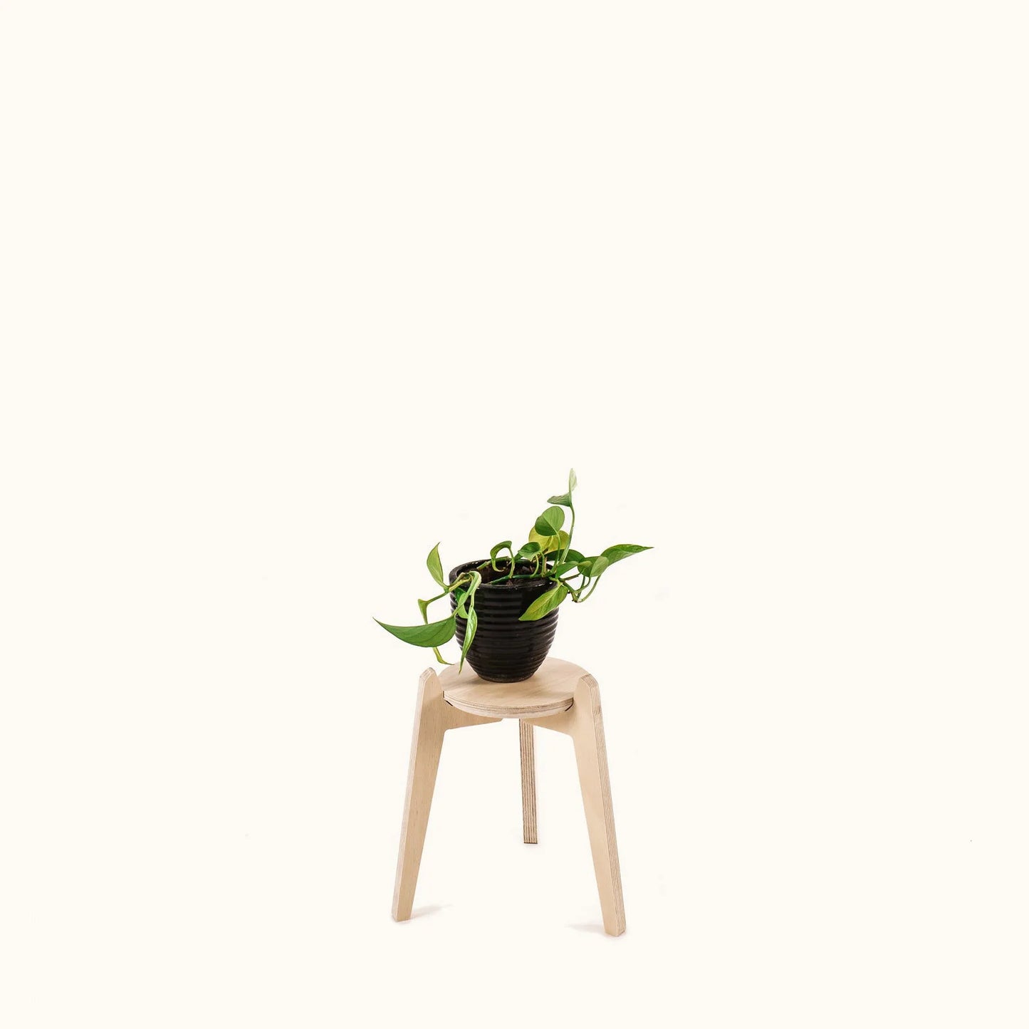 Japandi 6.5" Plant Stand 4" / Satin Birch