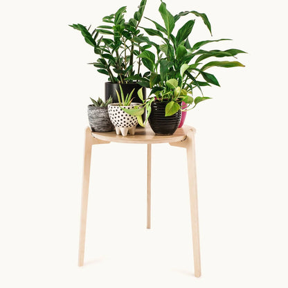 Japandi 15.5" Plant Stand 4" / Satin Birch