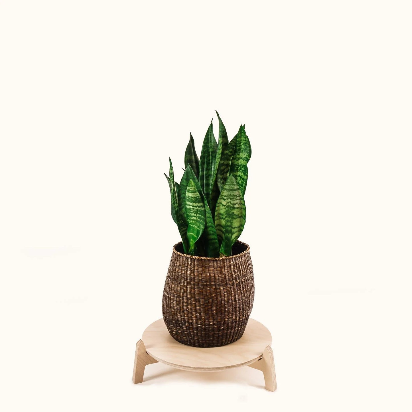Japandi 14" Plant Stand 4" / Satin Birch