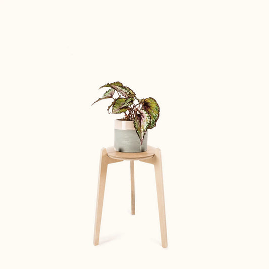 Japandi 8.5" Plant Stand 4" / Satin Birch