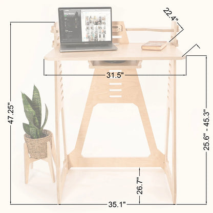 WFH Desk + 2 Hooks