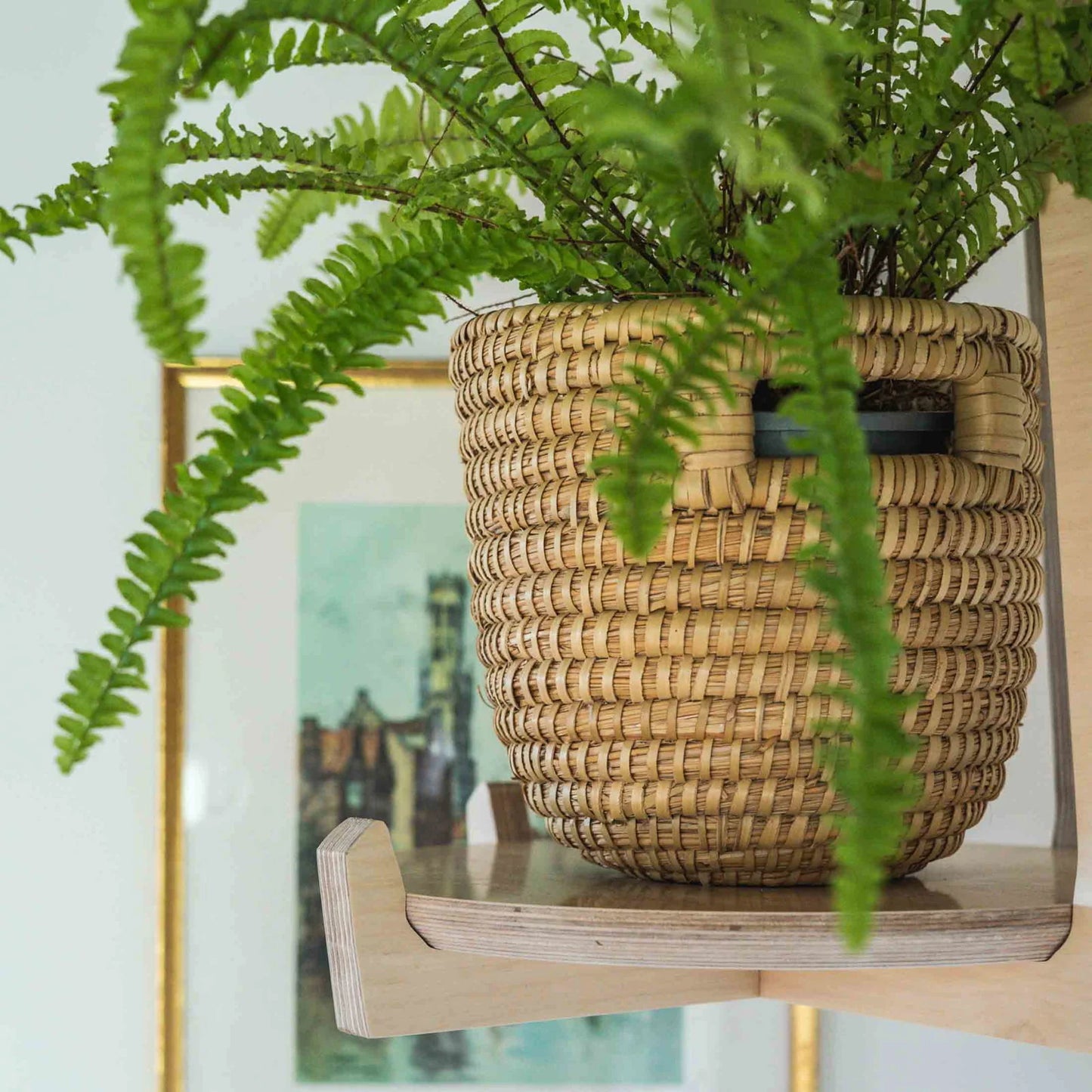 •Japandi Hanging Plant Stand