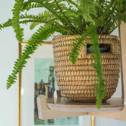 Japandi Hanging Plant Stand