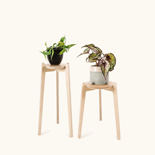 Japandi Plant Stand 2 pack - Small