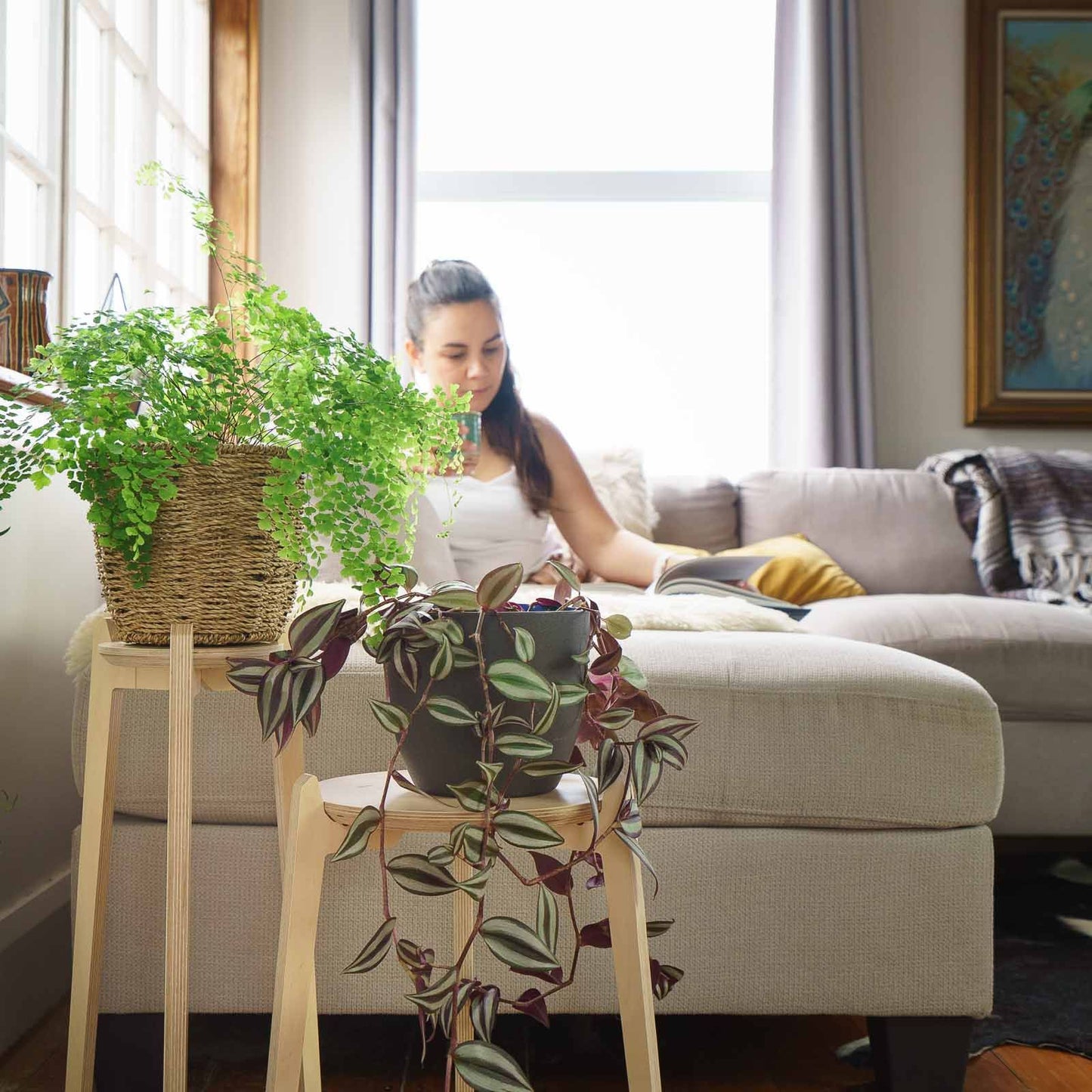 Japandi 6.5" Plant Stand 4" / Satin Birch