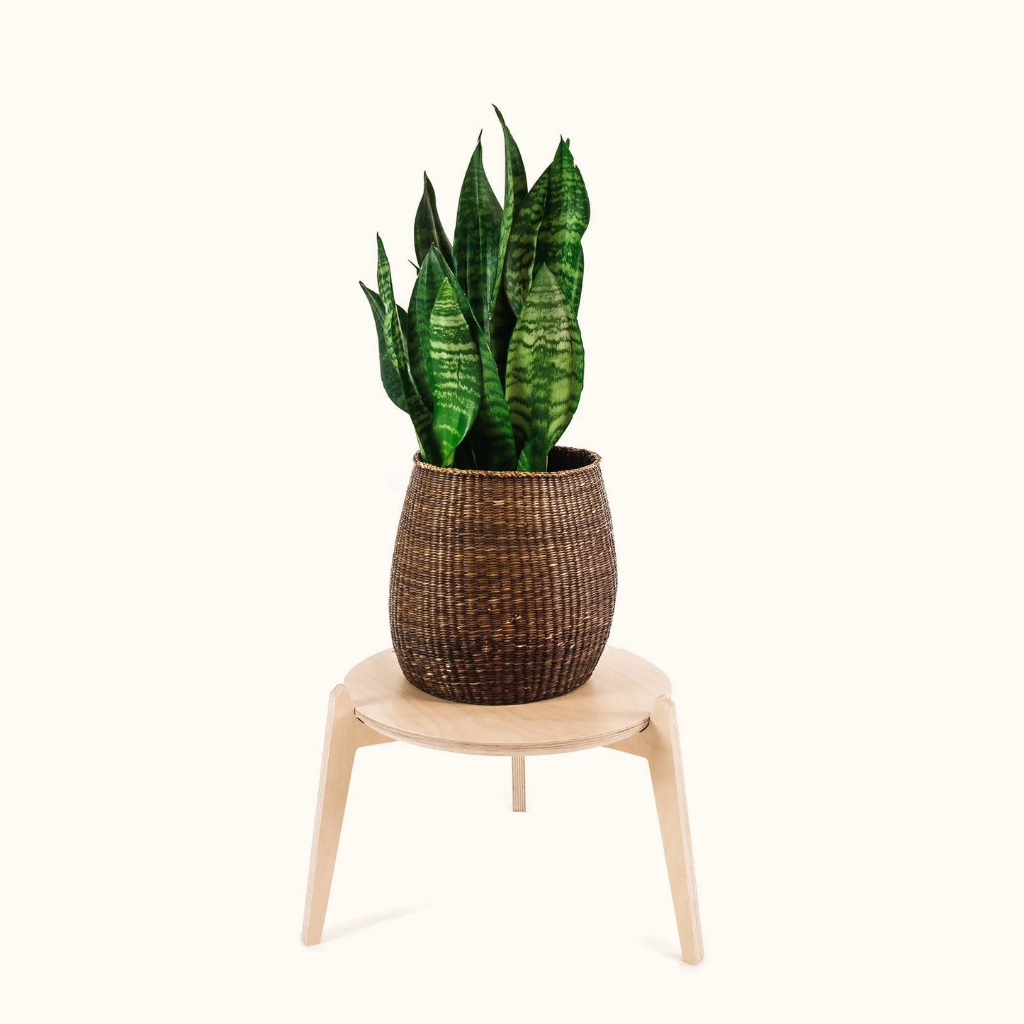 Japandi 14" Plant Stand 4" / Satin Birch
