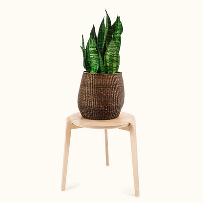 Japandi 14" Plant Stand 4" / Satin Birch