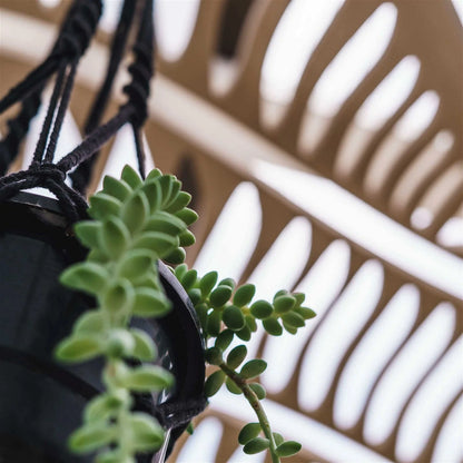 Japandi Plant Chandelier