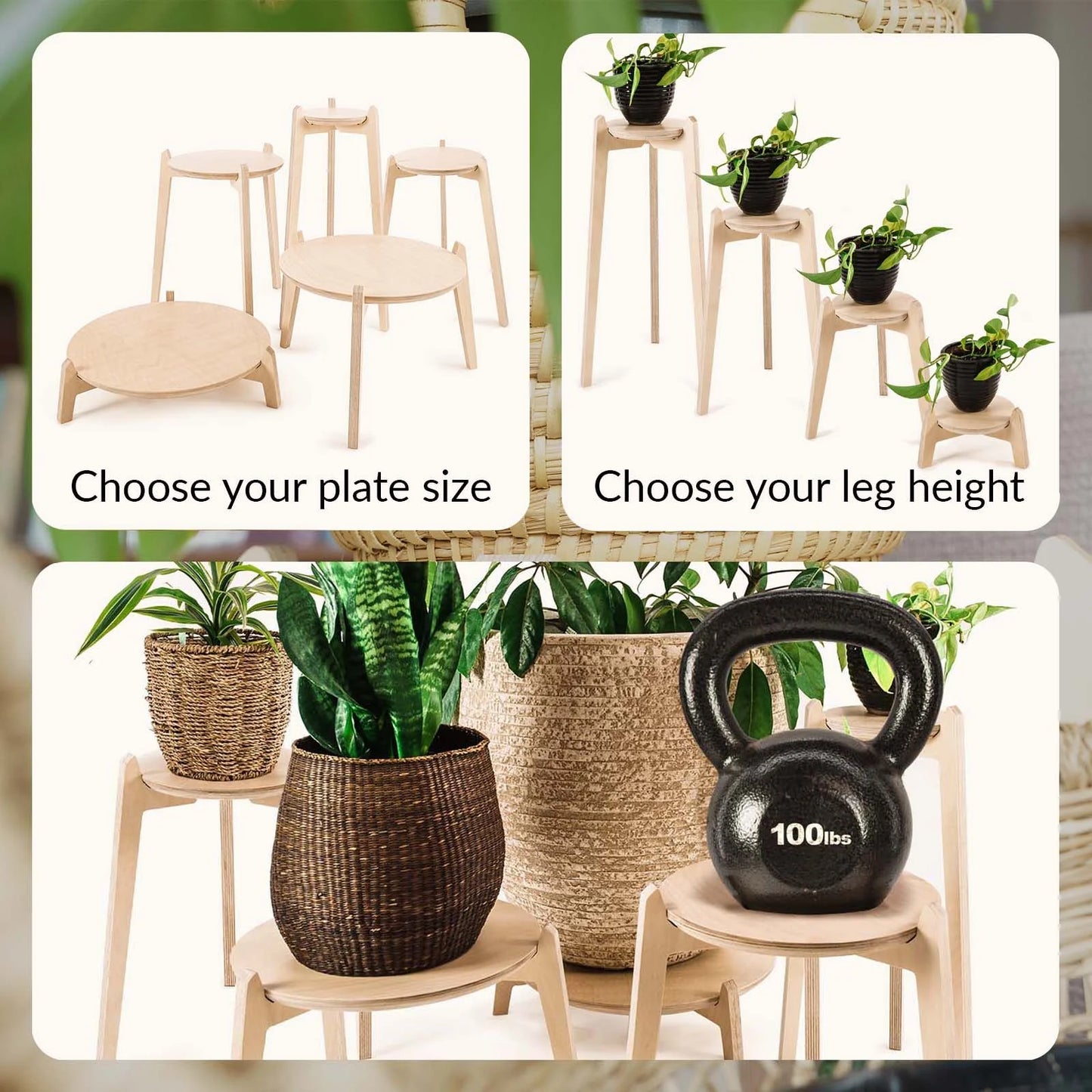 Japandi 6.5" Plant Stand 4" / Satin Birch