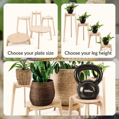 Japandi 6.5" Plant Stand 4" / Satin Birch
