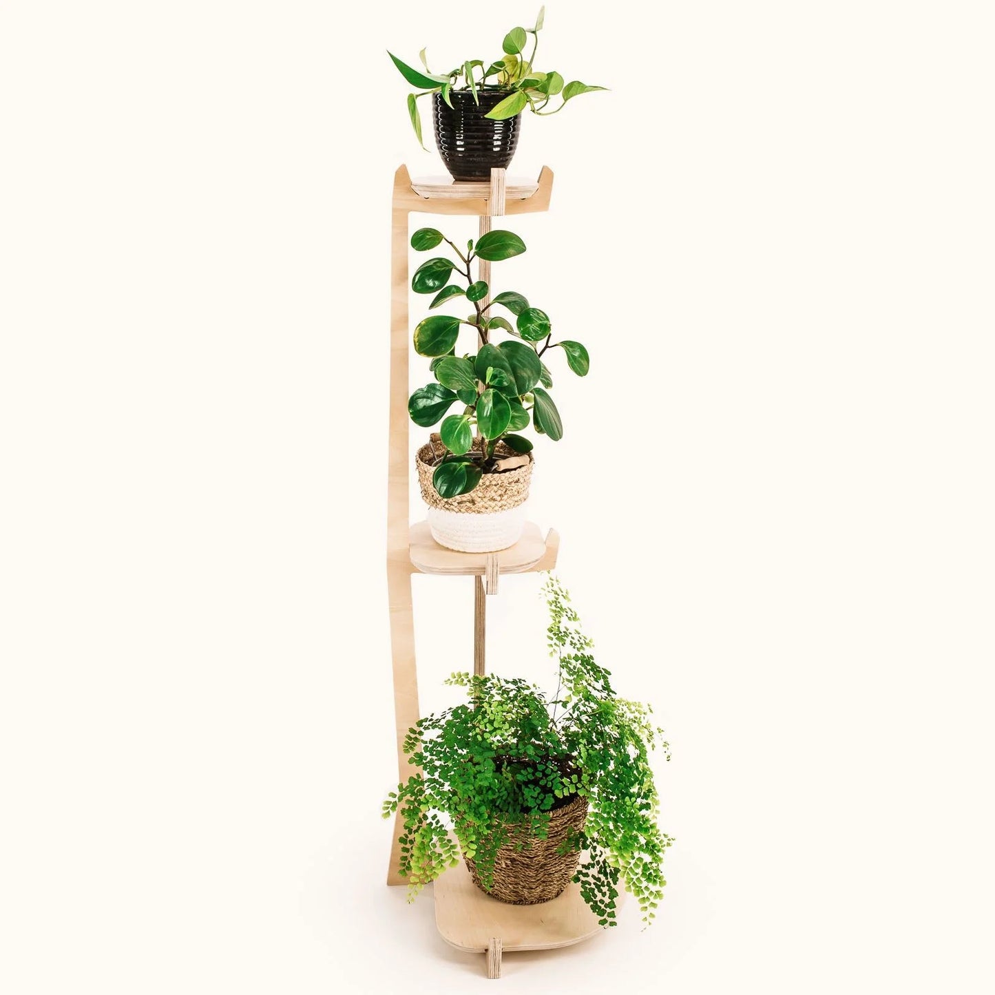 Japandi Corner Plant Stand