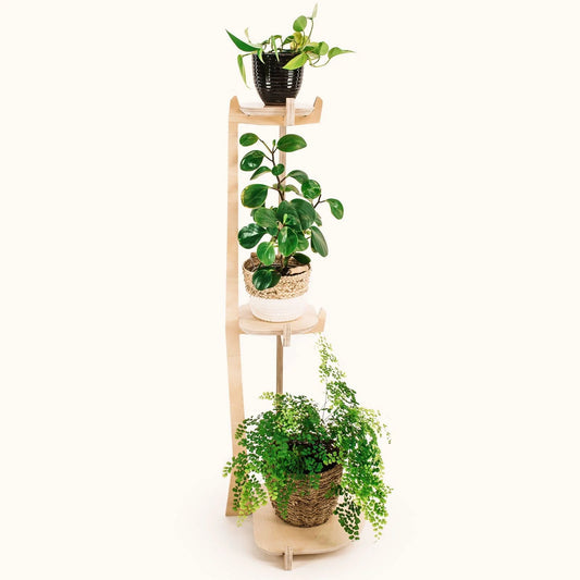 Japandi Corner Plant Stand