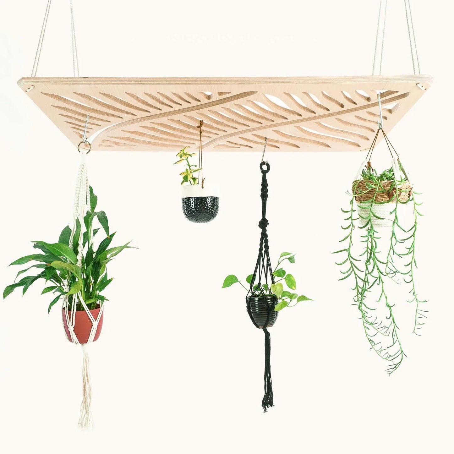 Japandi Plant Chandelier