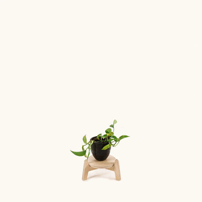 Japandi 6.5" Plant Stand 4" / Satin Birch