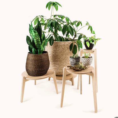 Japandi 8.5" Plant Stand 4" / Satin Birch